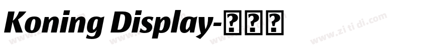 Koning Display字体转换